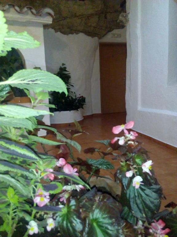 Hostal Batato 贝赫尔-德拉弗龙特拉 外观 照片